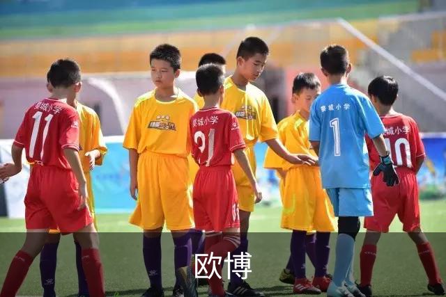 欧博公司简介
